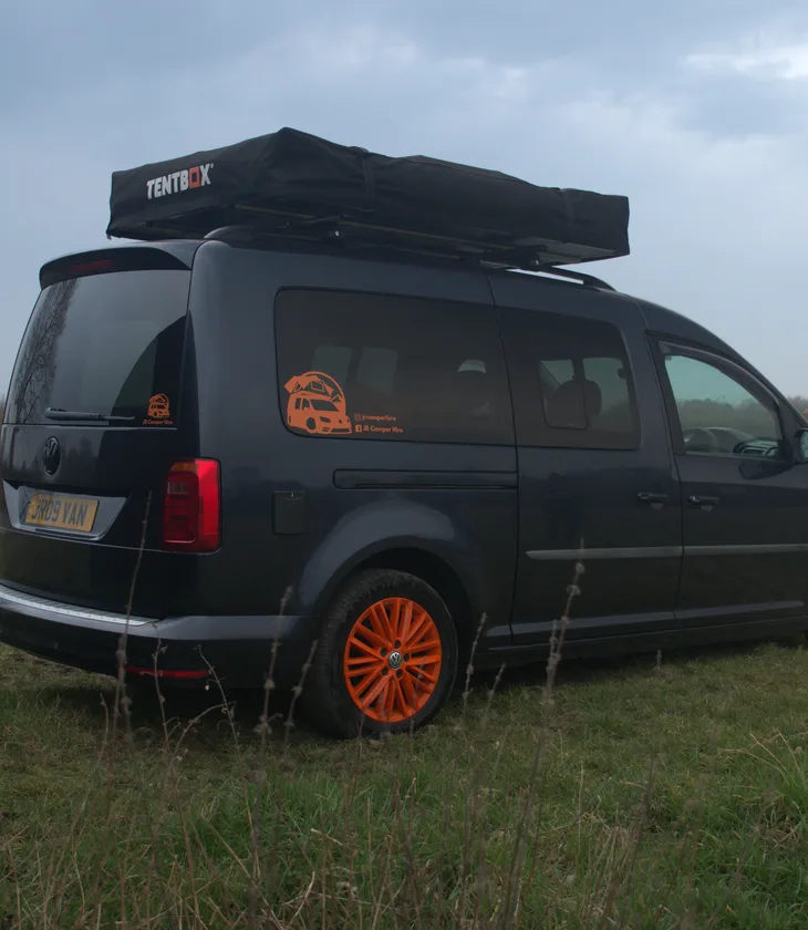Meet Borange Extra 1
